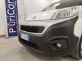 Fiat Fiorino 1.3 MJT 95CV Cargo SX CarPlay/Android Port. 495 Kg Blanc - thumbnail 35