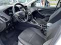 Ford Focus SW 1.5 tdci Titanium MY15 s&s 120cv OK NEOPATENATI - thumbnail 8