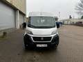 Fiat Ducato 2.3MJT Minibus Maxi L4H2*Rollstuhlrampe*9 Wit - thumbnail 13