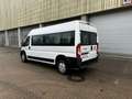 Fiat Ducato 2.3MJT Minibus Maxi L4H2*Rollstuhlrampe*9 Wit - thumbnail 9