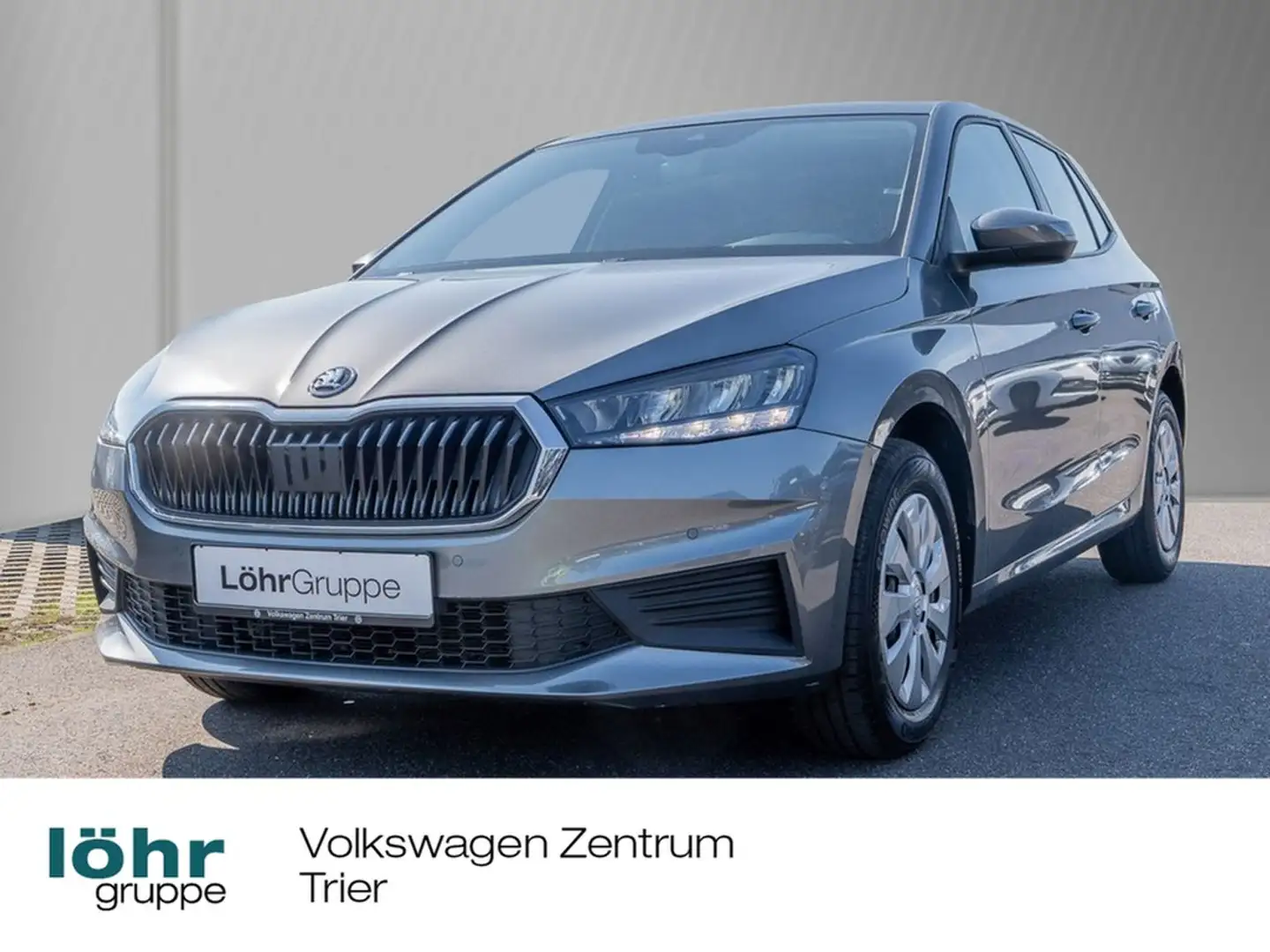 Skoda Fabia 1.0 TSI Selection Business Paket Grau - 1