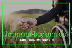 Mercedes-Benz Citan Automatik Rollstuhlrampe Heckausschnitt Offroadpaket Kamera Alu Allwetterreifen Sitzhzg 3Si+Rollstuhl / lehmann beckum