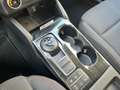 Ford Focus 1.5 EcoBlue 120 CV automatico 5p. ST Line Grigio - thumbnail 15