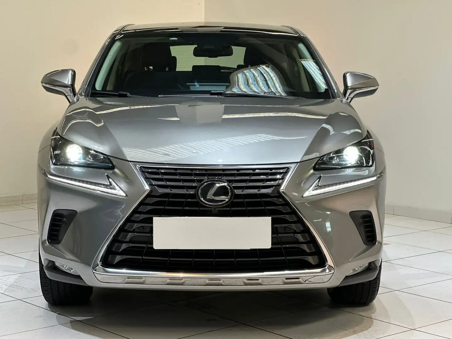 Lexus NX 300 NX Hybrid 4WD Executive - 2