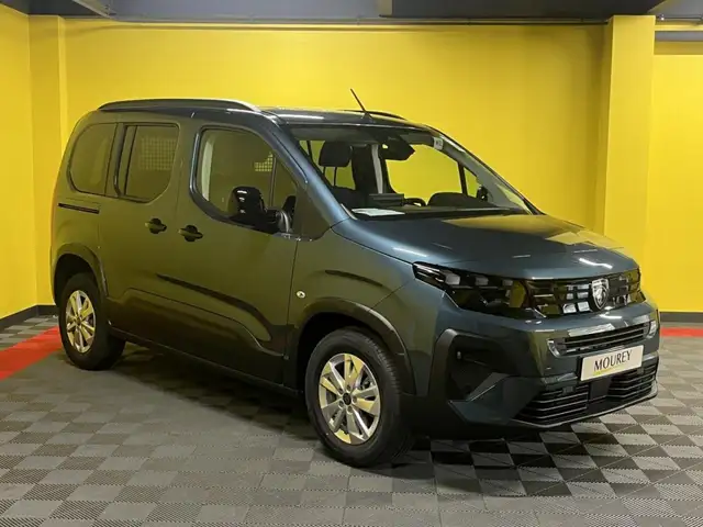 Peugeot Rifter view 7