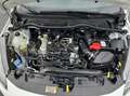Ford Fiesta 1.0 EcoBoost Hybrid S&S Aut. TITANIUM Weiß - thumbnail 20