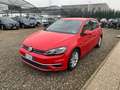 Volkswagen Golf 1.5 TSI 130 CV EVO DSG 5p. EXECUTIVE BlueMotion Rosso - thumbnail 1