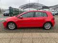 Volkswagen Golf 1.5 TSI 130 CV EVO DSG 5p. EXECUTIVE BlueMotion Rosso - thumbnail 8