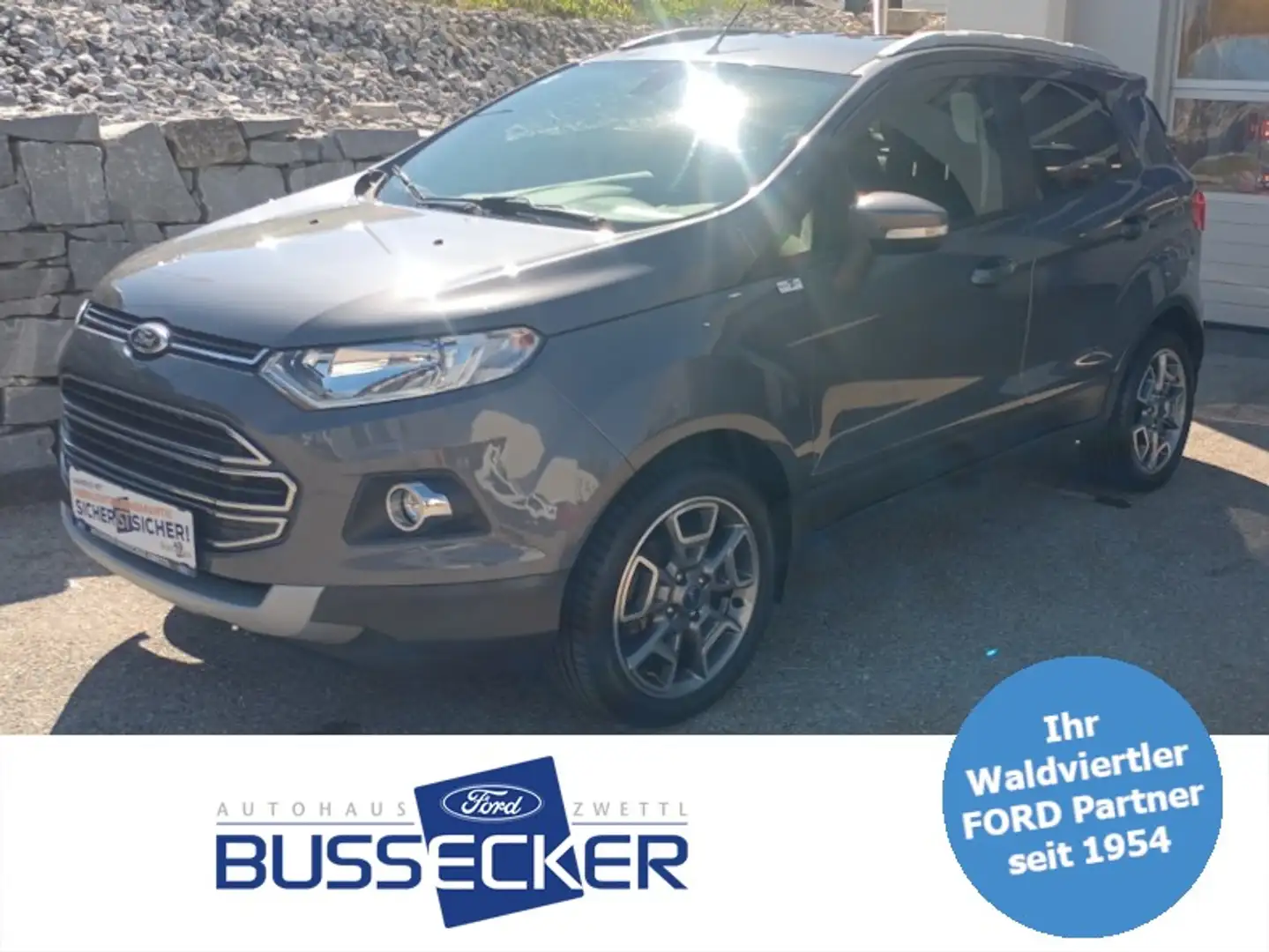 Ford EcoSport 1,0 EcoBoost Titanium Grau - 1
