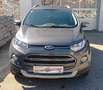 Ford EcoSport 1,0 EcoBoost Titanium Grau - thumbnail 2