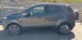 Ford EcoSport 1,0 EcoBoost Titanium Grau - thumbnail 3