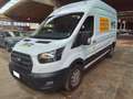 Ford Transit Van Trend 350 L3 H3 2.0 EcoBlue 170CV Trazione Ant Blanc - thumbnail 2