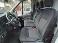 Ford Transit Van Trend 350 L3 H3 2.0 EcoBlue 170CV Trazione Ant Blanc - thumbnail 14