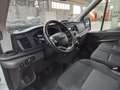 Ford Transit Van Trend 350 L3 H3 2.0 EcoBlue 170CV Trazione Ant Blanc - thumbnail 13