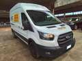 Ford Transit Van Trend 350 L3 H3 2.0 EcoBlue 170CV Trazione Ant Blanc - thumbnail 6