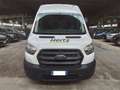 Ford Transit Van Trend 350 L3 H3 2.0 EcoBlue 170CV Trazione Ant Blanc - thumbnail 1