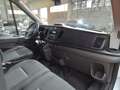 Ford Transit Van Trend 350 L3 H3 2.0 EcoBlue 170CV Trazione Ant Blanc - thumbnail 9