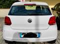 Volkswagen Polo Polo V 2009 5p 1.4 Comfortline Bianco - thumbnail 6