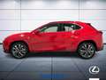 Lexus UX 300e 300h 2.0 F-Sport 4wd cvt Rosso - thumbnail 9