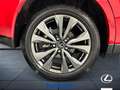 Lexus UX 300e 300h 2.0 F-Sport 4wd cvt Rosso - thumbnail 12