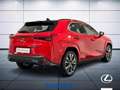 Lexus UX 300e 300h 2.0 F-Sport 4wd cvt Rosso - thumbnail 6