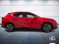 Lexus UX 300e 300h 2.0 F-Sport 4wd cvt Rosso - thumbnail 5