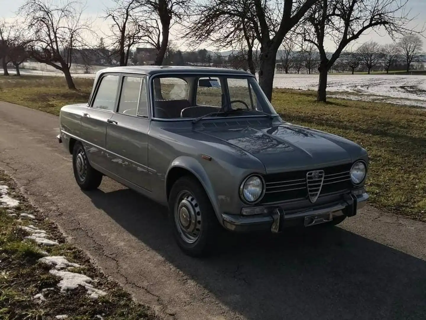 Alfa Romeo Giulia 1300 super Gris - 1