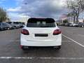 Porsche Cayenne 3.0 Diesel - Finanzierung möglich Weiß - thumbnail 3