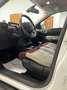 Citroen C4 Cactus 1.5BlueHDi S&S Shine Pack EAT6 120 Blanco - thumbnail 24
