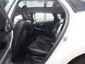 Volvo V40 1.6 T2 R-design / Panorama dak / Trekhaak Wit - thumbnail 13