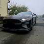Ford Mustang Fastback 2.3 ecoboost 317cv auto - thumbnail 3