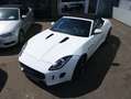 Jaguar F-Type Cabriolet 3.0 V6 Aut. S Leder Xenon Navi Rückfa Weiß - thumbnail 25