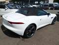 Jaguar F-Type Cabriolet 3.0 V6 Aut. S Leder Xenon Navi Rückfa Weiß - thumbnail 22