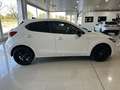 Mazda 2 1.5 e-Skyactiv G Homura 66kW Blanco - thumbnail 6