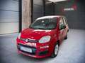 Fiat Panda /Pandina MY25 Rot - thumbnail 2