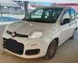 Fiat Panda Panda  1.2 Easy 69cv E6 beige km 34403 in arrivo Beige - thumbnail 1