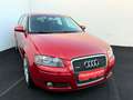 Audi A3 2.0 TDI 140 Quattro Sport //1.BESITZ// Rot - thumbnail 2