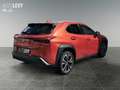 Lexus UX 250h SHZ*PDC*KAMERA*CARPLAY Roşu - thumbnail 6