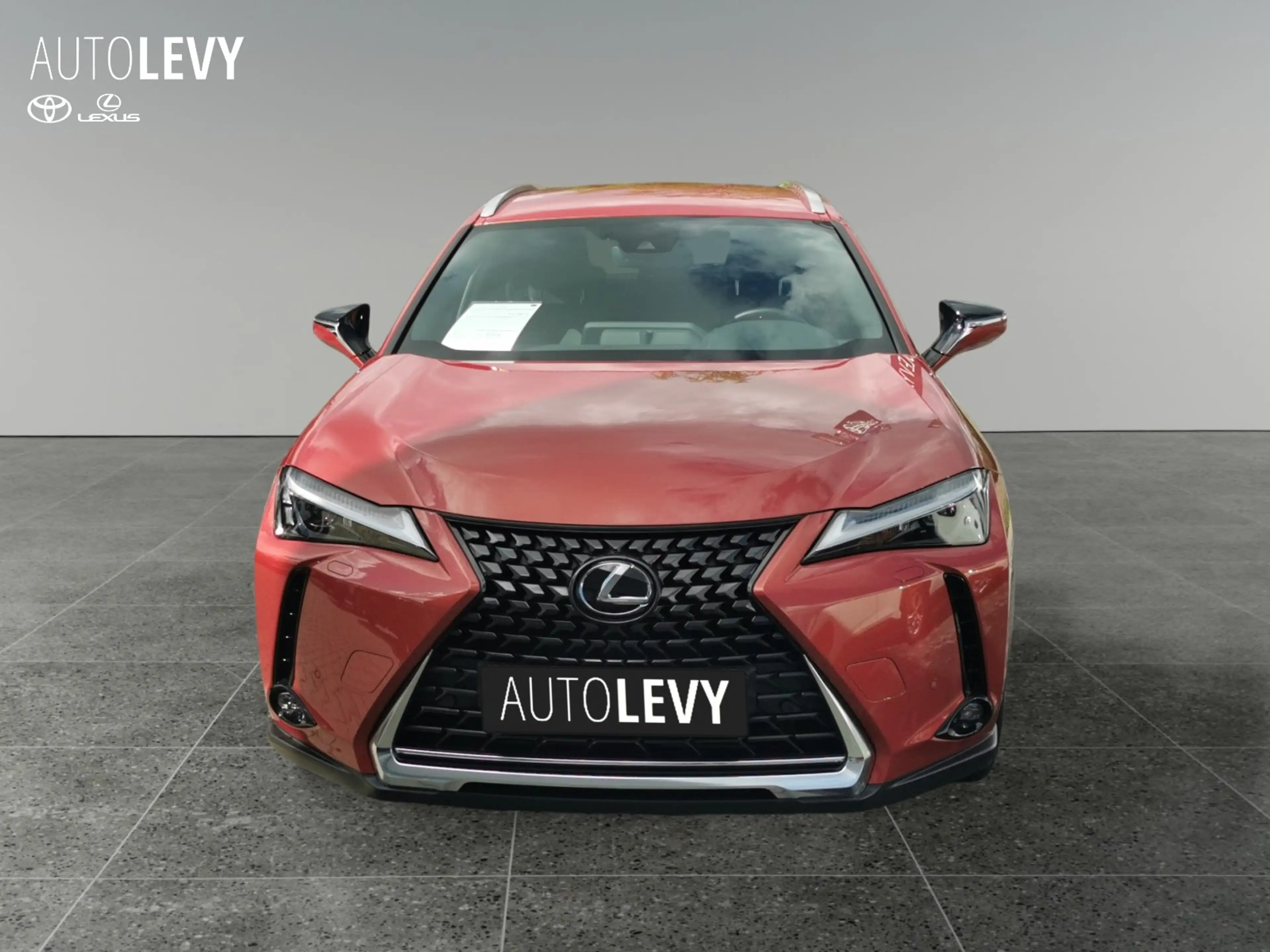 Lexus UX 250h SHZ*eSV*Carplay — photo 9