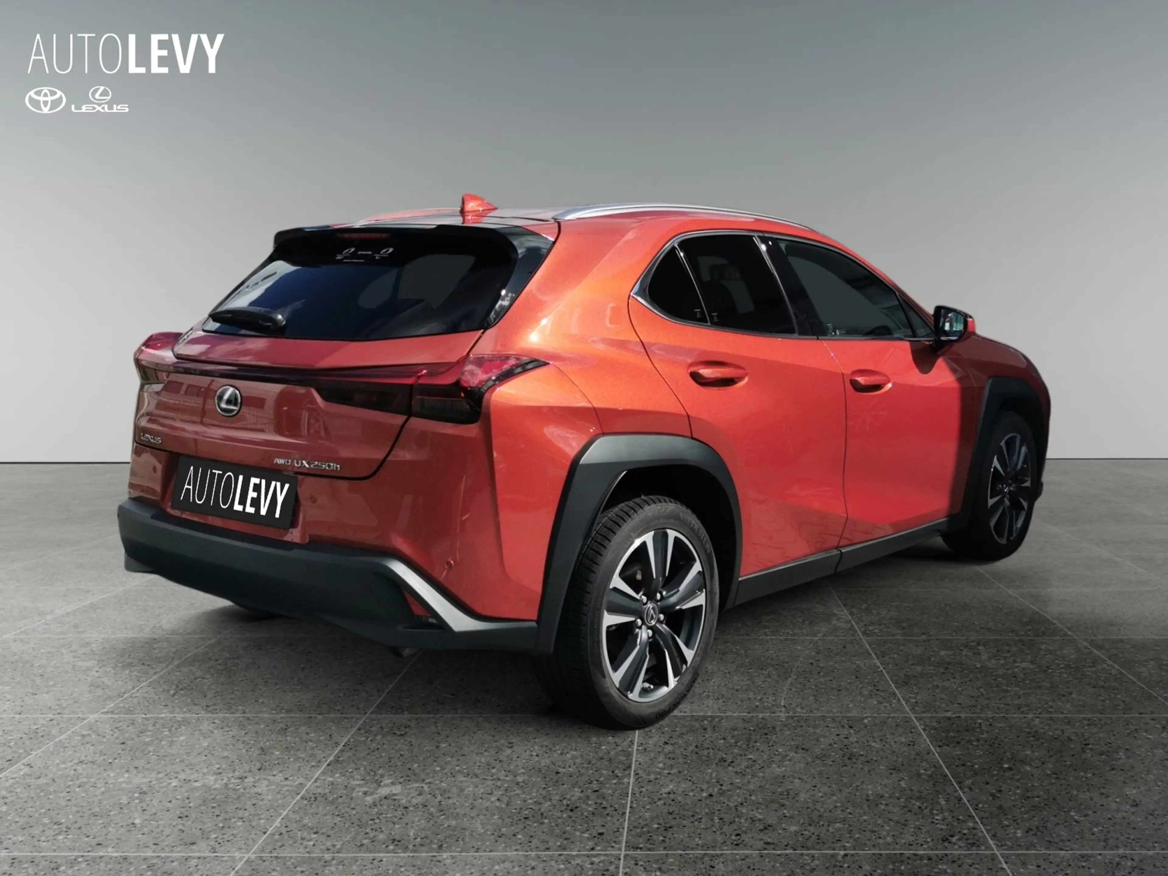 Lexus UX 250h SHZ*eSV*Carplay — photo 6