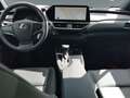 Lexus UX 250h SHZ*PDC*KAMERA*CARPLAY Roşu - thumbnail 11