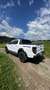 Ford Ranger Raptor Ford Ranger Raptor 2.0 EcoBlue Bi-Turbo 4x4 - thumbnail 6
