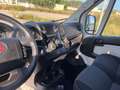Fiat Ducato 30 2.3 MJT 150CV PC-TN Combi 9 POSTI Bianco - thumbnail 12