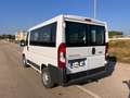 Fiat Ducato 30 2.3 MJT 150CV PC-TN Combi 9 POSTI Bianco - thumbnail 8
