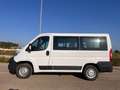 Fiat Ducato 30 2.3 MJT 150CV PC-TN Combi 9 POSTI Bianco - thumbnail 10