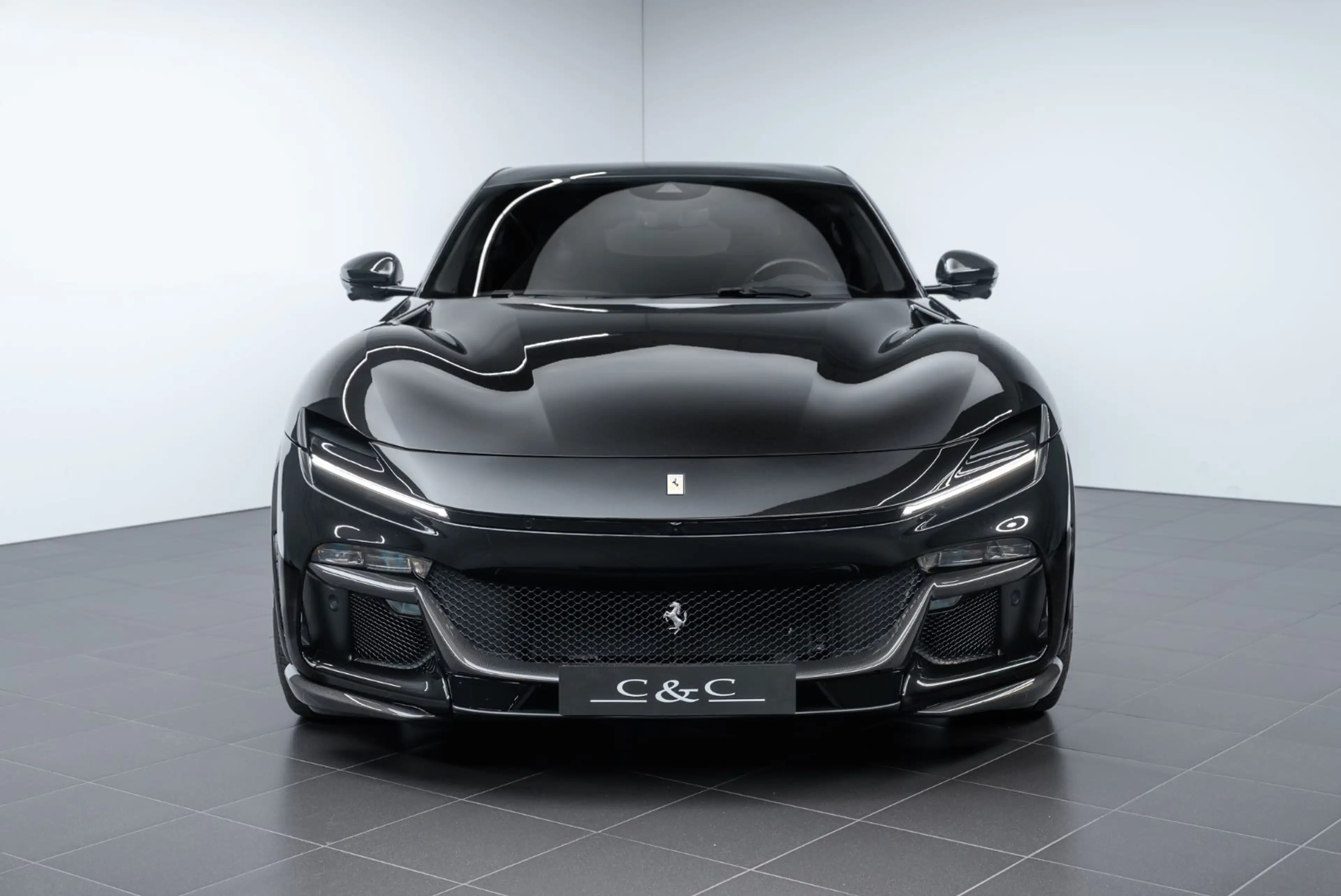Ferrari Purosangue CARBON/NOVITEC/PPF/PANO — photo 3