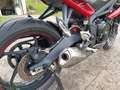 Triumph Street Triple R Gri - thumbnail 9
