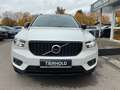 Volvo XC40 T5 R Design Plug-In 2WD AHK BLIS 360° Weiß - thumbnail 10