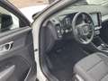 Volvo XC40 T5 R Design Plug-In 2WD AHK BLIS 360° Weiß - thumbnail 15