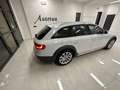Audi A4 allroad 3.0 tdi s-tronic Blanc - thumbnail 2